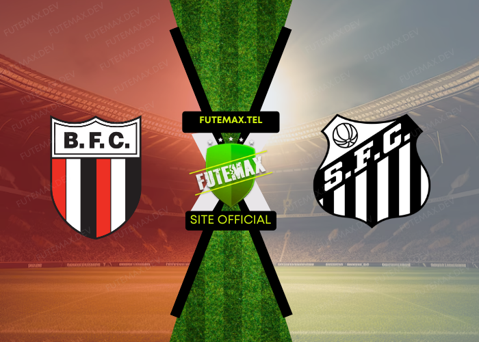 Botafogo SP x Santos ao vivo futemax 19/09/2024