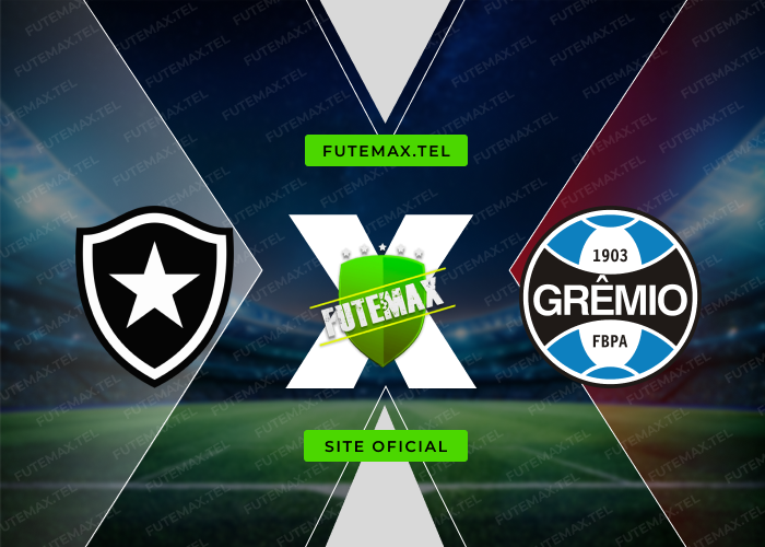 Botafogo x Grêmio ao vivo futemax 28/09/2024