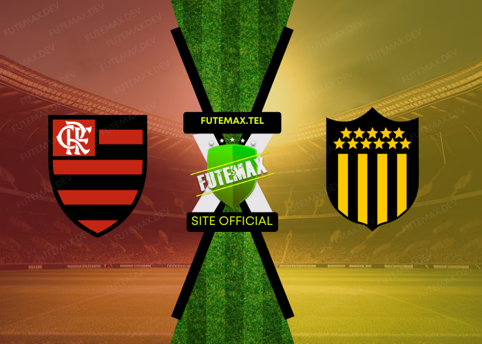 Flamengo x Penãrol ao vivo futemax 19/09/2024