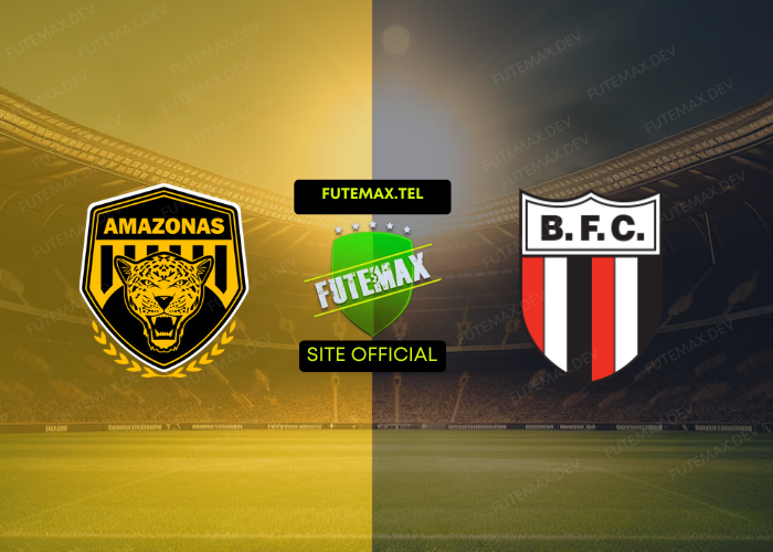 Amazonas x Botafogo SP ao vivo futemax 29/10/2024