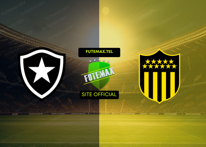 Botafogo x Penãrol ao vivo futemax 23/10/2024